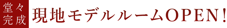 現地モデルルームOPEN！